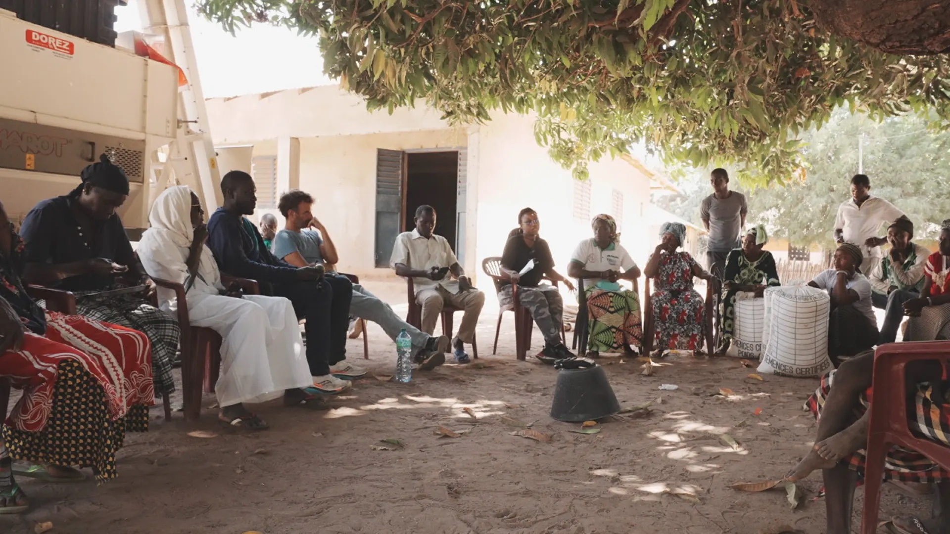 Cercle communautaire sous un arbre à Bignona, Casamance