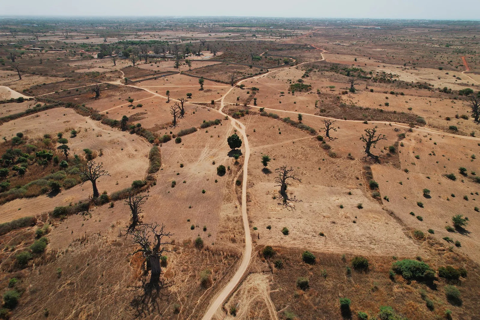 Vue aérienne des terres de CREATES près de Thiafoura - baobabs et champs, Mbour, Sénégal