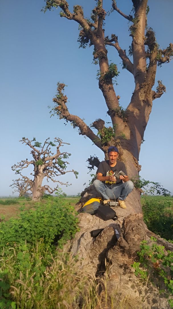 Joan Bastide au pied d'un baobab au Sénégal