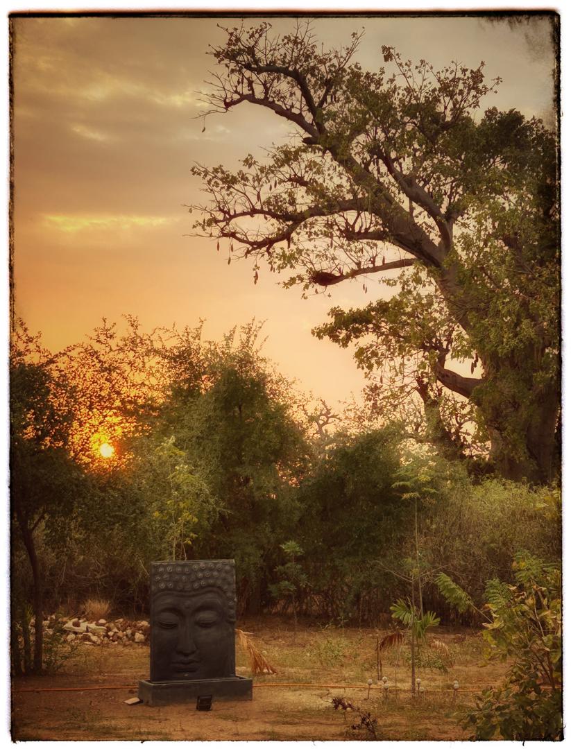 Baobab et Buddha au coucher du soleil